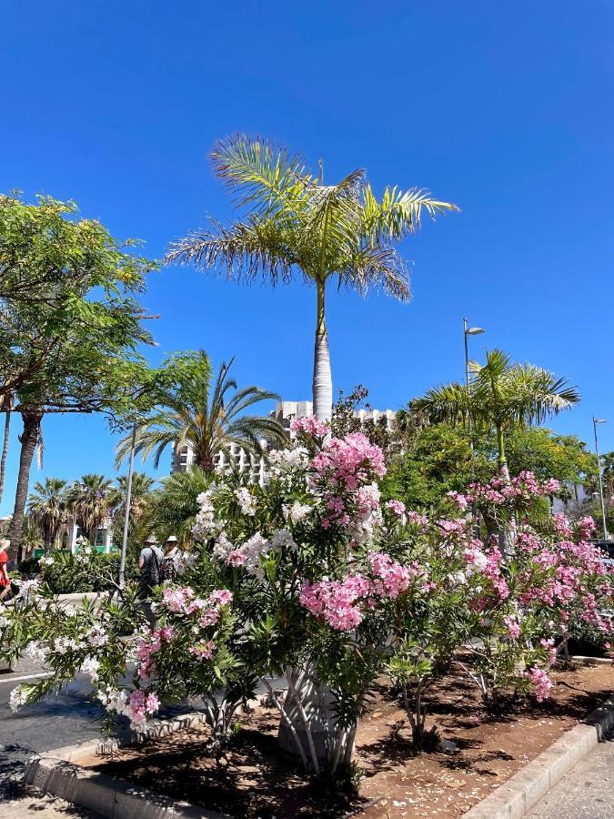 Apartmán El Dorado Estrella Playa de las Americas  Exteriér fotografie